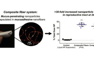 Composite fiber system: Mucus-penetrating nanoparticles encapsulated in mucoadhesive nanofibers. The system demonstrated greater than 30-fold increased nanoparticle retention in reproductive tract at 24 hr.