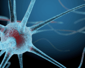 neuron closeup illustration