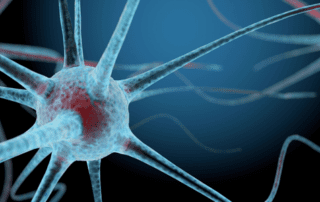 neuron closeup illustration