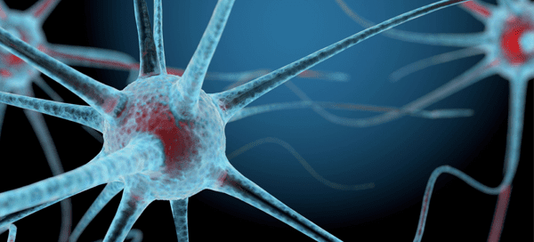 neuron closeup illustration