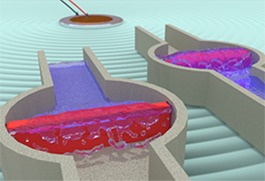 Nanodevice chambers
