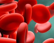 graphic of red bloods cells