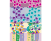 SplitSeq RNA sequencing
