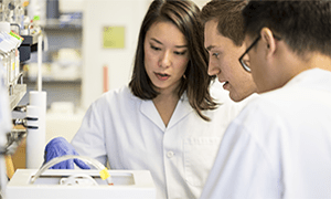 Students working with laboratory equipment