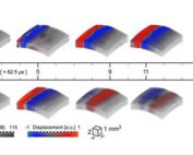 Transient displacement of a mechanical wave propagating in ex-vivo porcine eye.