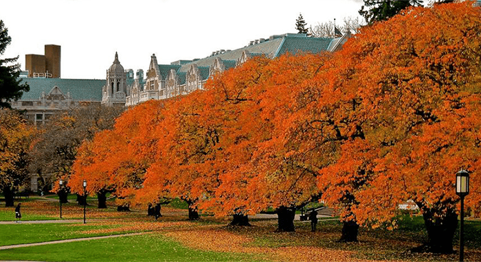 UW Quad in the fall
