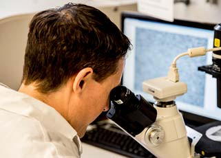 Student working with microscope in a lab