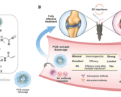 Zwitterionic nanocages overcome efficacy loss of biologic drugs